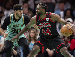 Bulls Hornets Basketball