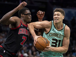 Bulls Hornets Basketball