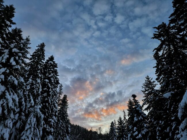 The Weather on February 24