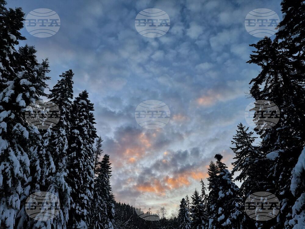 Боровец - зима - туризъм