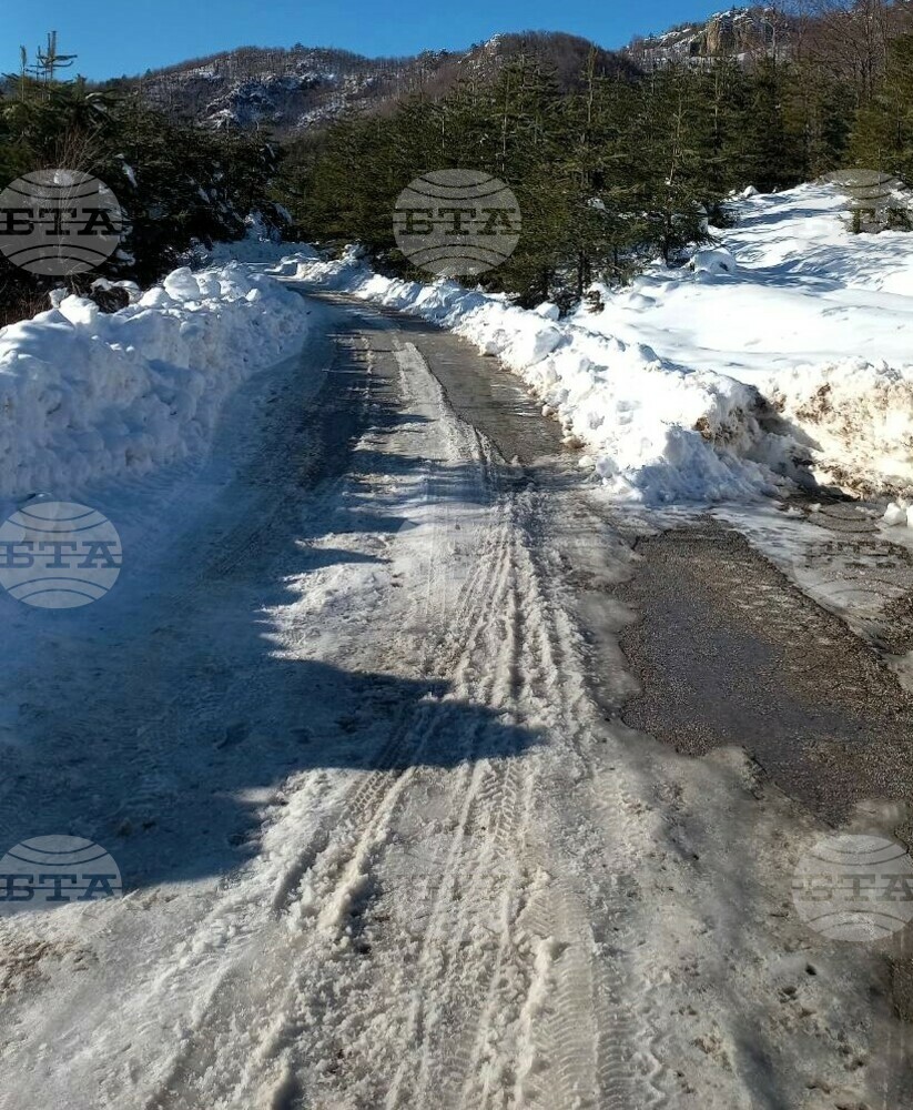 Пътищата в планинската част на община Асеновград са проходими при зимни условия