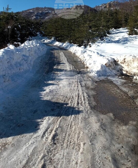 Пътищата в планинската част на община Асеновград са проходими при зимни условия