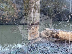 Снимка: ОА Русе