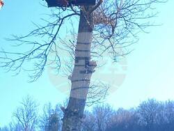 Снимка: ОА Русе