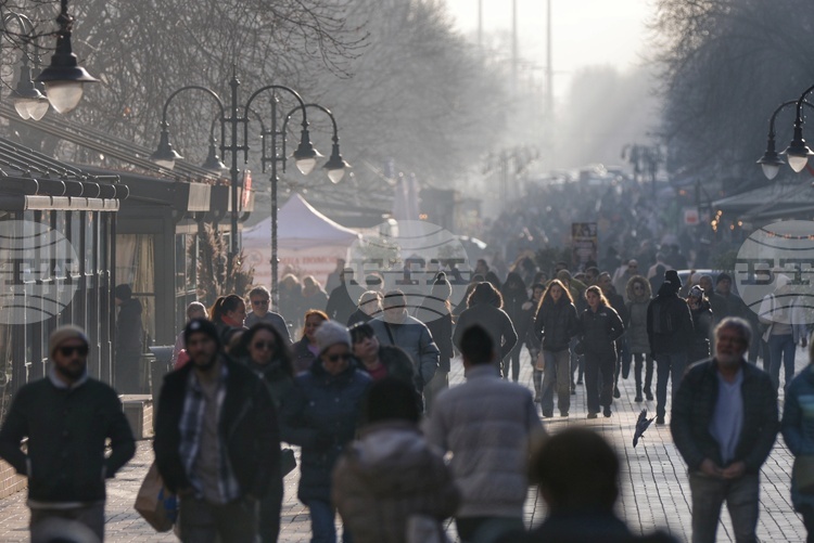 Employment Agency Reports Stable Labour Market, Low Unemployment in November