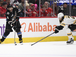 Bruins Capitals Hockey
