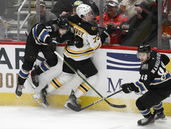 Bruins Capitals Hockey