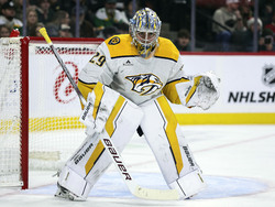 Predators Wild Hockey