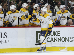 Predators Wild Hockey