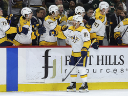 Predators Wild Hockey