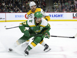 Predators Wild Hockey