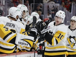 Penguins Red Wings Hockey