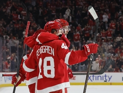 Penguins Red Wings Hockey