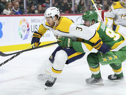 Predators Wild Hockey