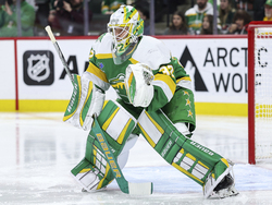 Predators Wild Hockey