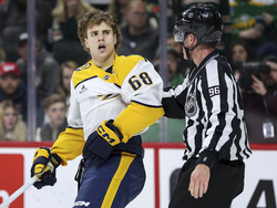 Predators Wild Hockey