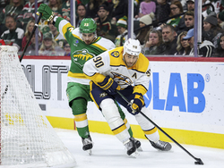 Predators Wild Hockey