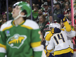 Predators Wild Hockey