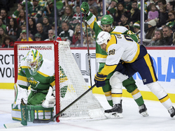 Predators Wild Hockey