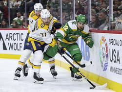 Predators Wild Hockey