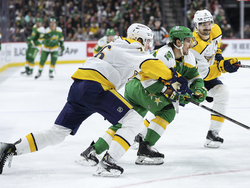 Predators Wild Hockey