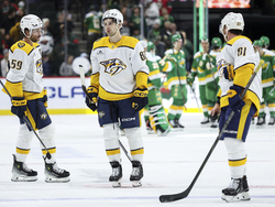 Predators Wild Hockey