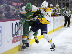 Predators Wild Hockey