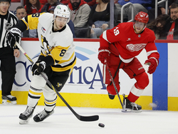 Penguins Red Wings Hockey