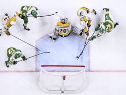 Predators Wild Hockey