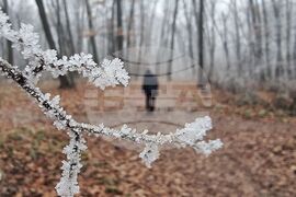 Зима - мъгла
