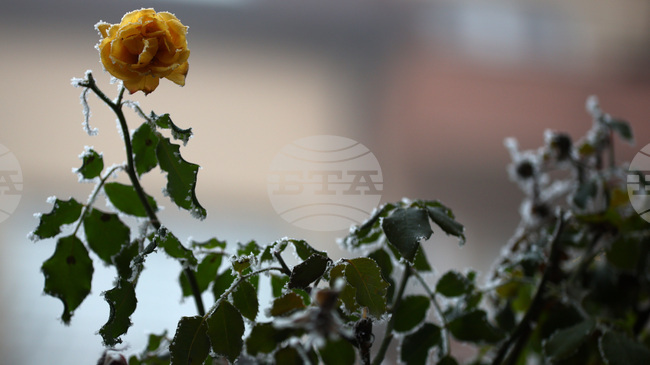 Прогноза за времето