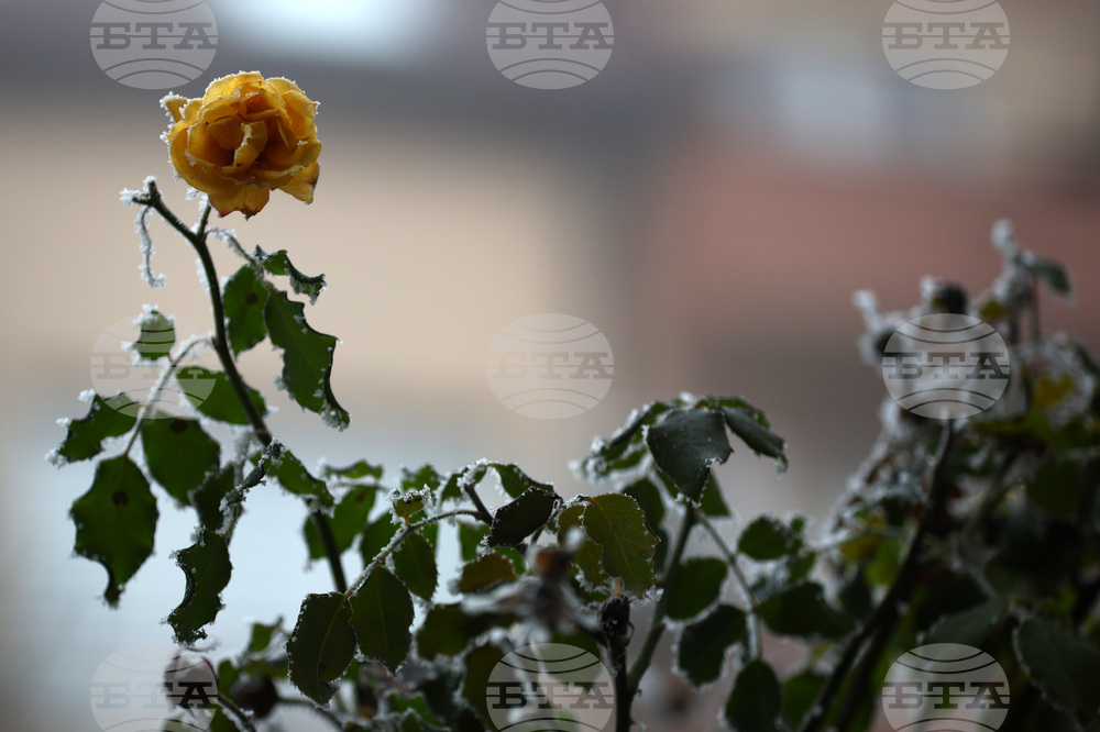 Прогноза за времето