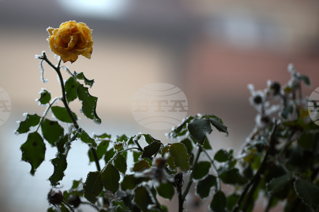 Прогноза за времето