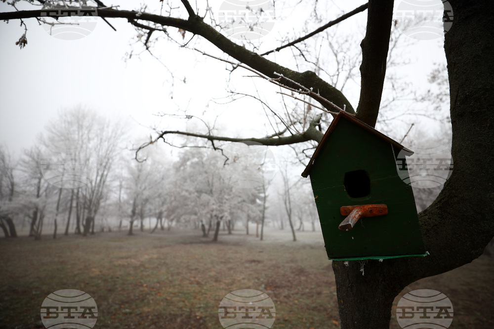 Нивото на замърсяване на въздуха в София се задържа под критичното, съобщи зам.-кметът по екология Надежда Бобчева
