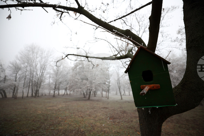 Нивото на замърсяване на въздуха в София се задържа под критичното, съобщи зам.-кметът по екология Надежда Бобчева