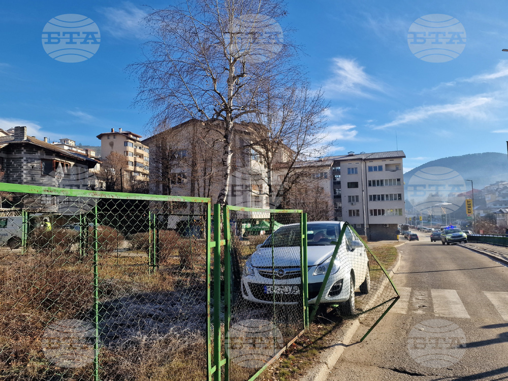 Смолян - лек автомобил - инцидент