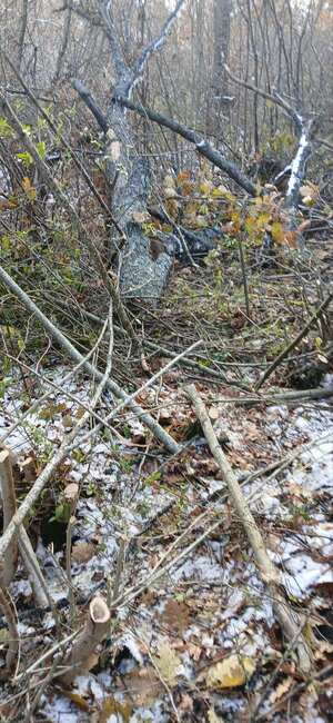 Омуртаг отново е на воден режим, каза управителят на ВиК – Търговище Явор Миланов