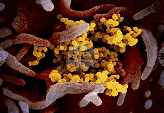 Учени създадоха умни молекули, поразяващи вируси със собствените им оръжия