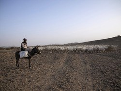 Saudi Arabia Dakar Rally
