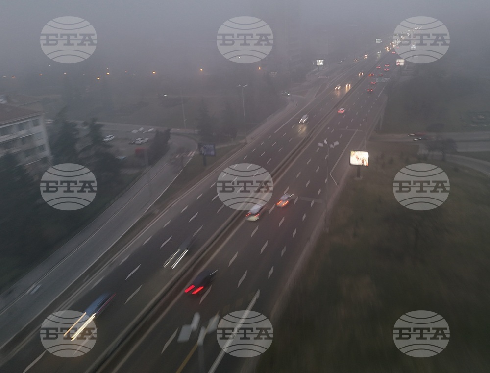 Столица - изглед