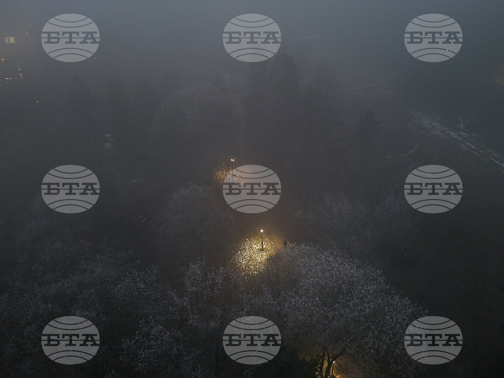 Столица - изглед