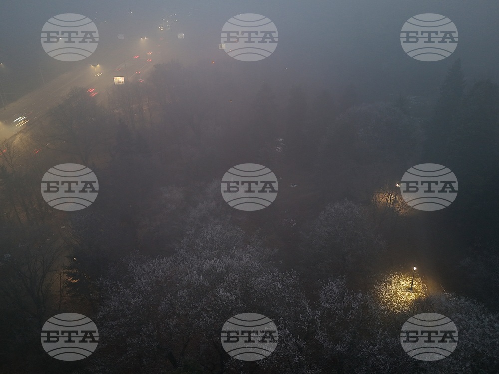 Столица - изглед