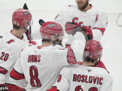 Hurricanes Panthers Hockey