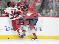 Hurricanes Panthers Hockey
