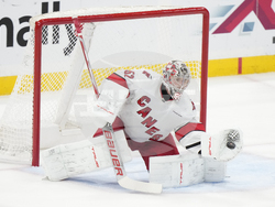 Hurricanes Panthers Hockey