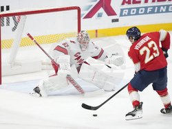 Hurricanes Panthers Hockey