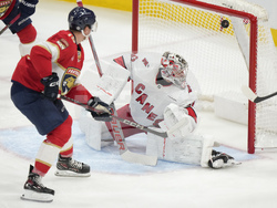 Hurricanes Panthers Hockey