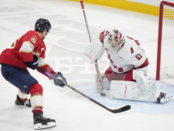 Hurricanes Panthers Hockey