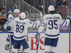 Maple Leafs Islanders Hockey