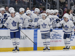Maple Leafs Islanders Hockey